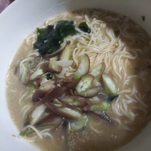 ワカメとみょうがネギの塩ラーメン